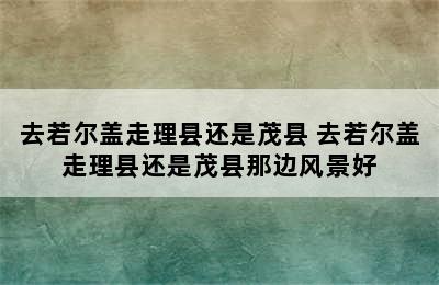 去若尔盖走理县还是茂县 去若尔盖走理县还是茂县那边风景好